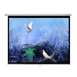 Liberty Grandview 120" (2.35:1) Cyber Series Manual Screen With Fiber Glass Fabric WM5