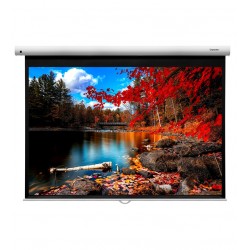 Liberty Grandview 72"  (4:3) Fantasy Series Manual Screen With Fiber Glass Fabric (WP5.)