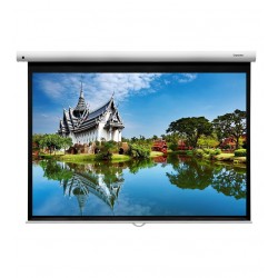 Liberty Grandview 92"  (16:9) Fantasy Series Manual Screen With Fiber Glass Fabric (WP5.)