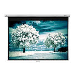 Liberty Grandview 72"  (4:3) Fantasy Series Manual Screen With Fiber Glass Fabric WM5