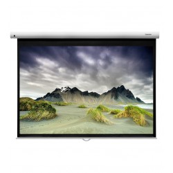 Liberty Grandview 94"  (16:10) Fantasy Series Manual Screen With Fiber Glass Fabric WP5