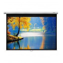 Liberty Grandview 113"  (16:10) Fantasy Series Manual Screen With Fiber Glass Fabric WP5