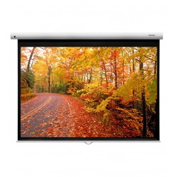 Liberty Grandview 113"  (16:10) Fantasy Series Manual Screen With Fiber Glass Fabric WM5