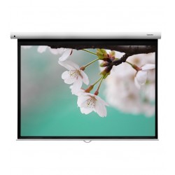 Liberty Grandview 123"  (16:10) Fantasy Series Manual Screen With Fiber Glass Fabric WP5