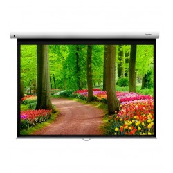 Liberty Grandview 123"  (16:10) Fantasy Series Manual Screen With Fiber Glass Fabric WM5