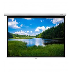 Liberty Grandview 100"  (2.35:1) Fantasy Series Manual Screen With Fiber Glass Fabric WP5