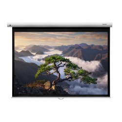 Liberty Grandview 110"  (2.35:1) Fantasy Series Manual Screen With Fiber Glass Fabric WM5