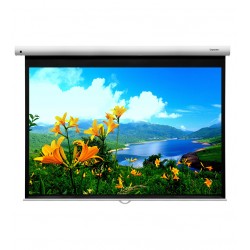 Liberty Grandview 100"  (4:3) Fantasy Series Manual Screen With Fiber Glass Fabric (WP5.)