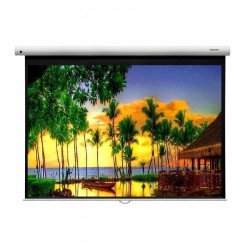 Liberty Grandview 133"  (4:3) Fantasy Series Manual Screen With Fiber Glass Fabric WM5.