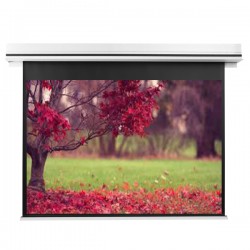 Liberty Grandview 77" (16:9) Premium Ultimate Recessed Motorised Screen (Model C)  With Trap Bar Matte White Fiber Glass (WM5) with RF Remote Control & Multi  Control.