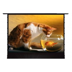 Liberty Screen Pro (AD) Floor Rising  100" 16:9 ALR Tab Tensioned Screen For (UST) Ultra Throw Projector (AD) .