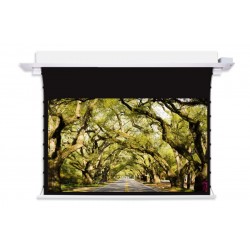 Liberty Screen Pro  In-Ceiling 100" 16:9 (AR) ALR Motorized Tab  Tensioned For (UST) Ultra Short Throw Projector - AR