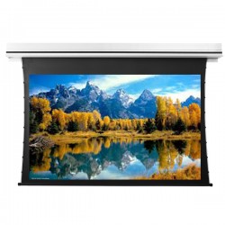 Liberty Grandview 110" (2.35:1) Premium Recessed TAB-TENTIONED Screen With Trap Door DY20. Dynamique 3D.
