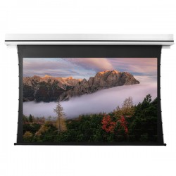 Liberty Grandview 120" (2.35:1) Premium Recessed TAB-TENTIONED Screen With Trap Door DY20. Dynamique 3D.