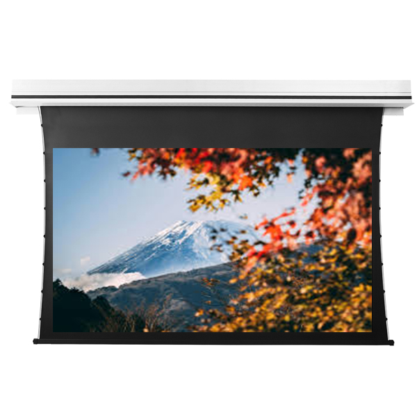 Liberty Grandview 120" (2.35:1) Premium Recessed TAB-TENTIONED Screen With Trap Door AT6. Accoustic Weaved.