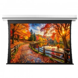 Liberty Grandview 140" (2.35:1) Premium Recessed TAB-TENTIONED Screen With Trap Door (2.35:1) DY20. Dynamique 3D.