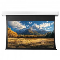 Liberty Grandview 150" (2.35:1) Premium Recessed TAB-TENTIONED Screen With Trap Door WW5. PS Series White (with Wooden Crate packing).