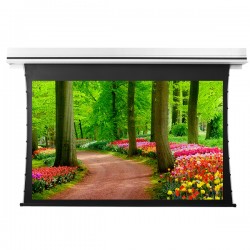 Liberty Grandview 150" (4:3) Premium Recessed TAB-TENTIONED Screen  With Trap Door WW5 PS Series (with Wooden Crate packing)