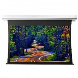 Liberty Grandview 77" (16:9) Premium Recessed TAB-TENTIONED Screen  With Trap Door WW5. PS Series White.