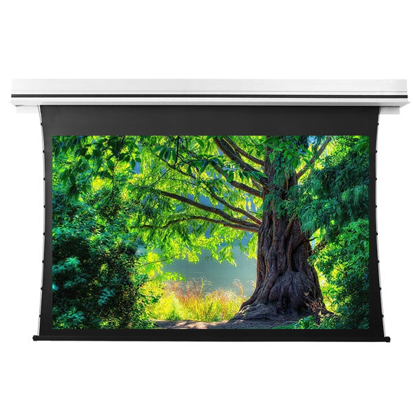 Liberty Grandview 77" (16:9) Premium Recessed TAB-TENTIONED Screen  With Trap Door GG3. PS Series Grey.