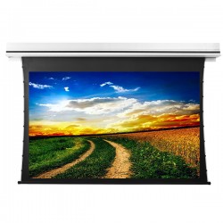 Liberty Grandview 77" (16:9) Premium Recessed TAB-TENTIONED Screen  With Trap Door DY20. Dynamique 3D.