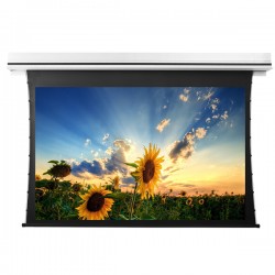 Liberty Grandview 92" (16:9) Premium Recessed TAB-TENTIONED Screen With Trap Door DY20. Dynamique 3D.