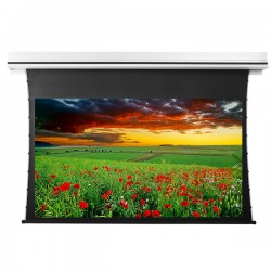Liberty Grandview 92" (16:9) Premium Recessed TAB-TENTIONED Screen  With Trap Door AT6. Accoustic Weaved.