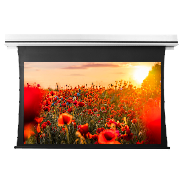 Liberty Grandview 100" (16:9) Premium Recessed TAB-TENTIONED Screen  With Trap Door WW5. PS Series White.