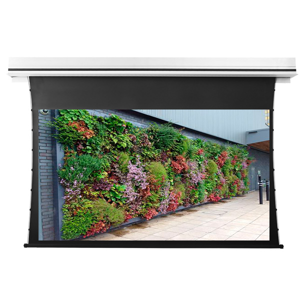 Liberty Grandview 100" (16:9) Premium Recessed TAB-TENTIONED Screen  With Trap Door DY20. Dynamique 3D.