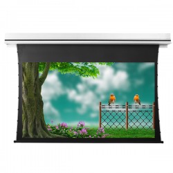 Liberty Grandview 120" (16:9) Premium Recessed TAB-TENTIONED Screen With Trap Door GG3. PS Series Grey.