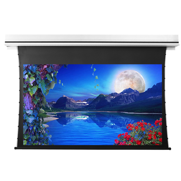 Liberty Grandview 120" (16:9) Premium Recessed TAB-TENTIONED Screen With Trap Door DY20. Dynamique 3D.