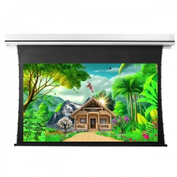 Liberty Grandview 133" (16:9) Premium Recessed TAB-TENTIONED Screen With Trap Door WW5. PS Series White.