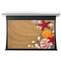 Liberty Grandview 150" (16:9) Premium Recessed TAB-TENTIONED Screen With Trap Door DY20. Dynamique 3D (with Wooden Crate packing).
