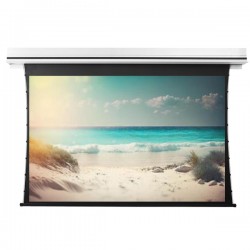 Liberty Grandview 150" (16:9) Premium Recessed TAB-TENTIONED Screen  With Trap Door AT6. Accoustic Weaved (with Wooden Crate packing).