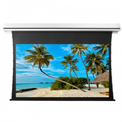 Liberty Grandview 165" (16:9) Premium Recessed TAB-TENTIONED Screen With Trap Door WW5. PS Series White, (with Wooden Crate packing).