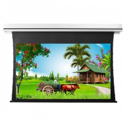 Liberty Grandview 165" (16:9) Premium Recessed TAB-TENTIONED Screen With Trap Door DY20. Dynamique 3D. (with Wooden Crate packing).