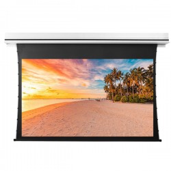 Liberty Grandview 94" (16:10) Premium Recessed TAB-TENTIONED Screen  With Trap Door WW5. PS Series White.