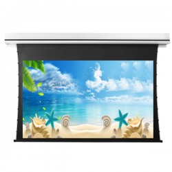 Liberty Grandview 94" (16:10) Premium Recessed TAB-TENTIONED Screen  With Trap Door GG3. PS Series Grey.