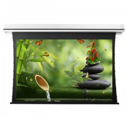 Liberty Grandview 109" (16:10) Premium Recessed TAB-TENTIONED Screen With Trap Door AT6. Accoustic Weaved.
