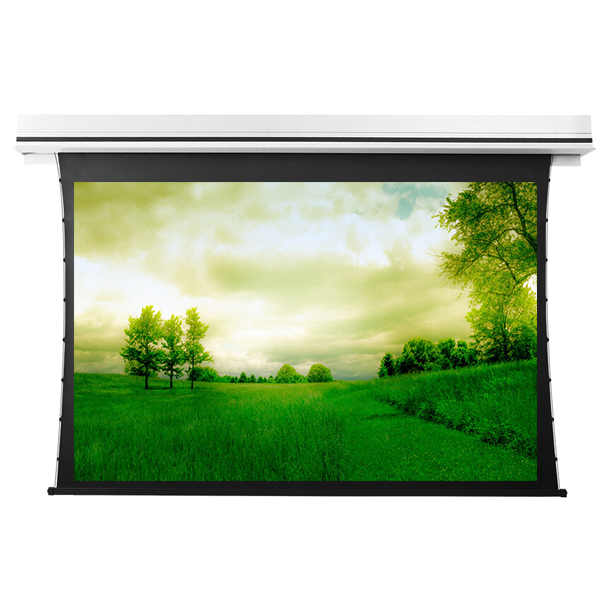 Liberty Grandview 113" (16:10) Premium Recessed TAB-TENTIONED Screen With Trap Door WW5. PS Series White.