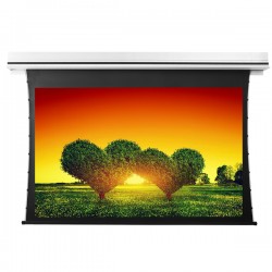 Liberty Grandview 113" (16:10) Premium Recessed TAB-TENTIONED Screen With Trap Door AT6. Accoustic Weaved.