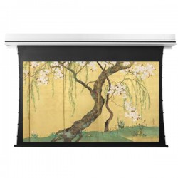 Liberty Grandview 123" (16:10) Premium Recessed TAB-TENTIONED Screen With Trap Door GG3. PS Series Grey.