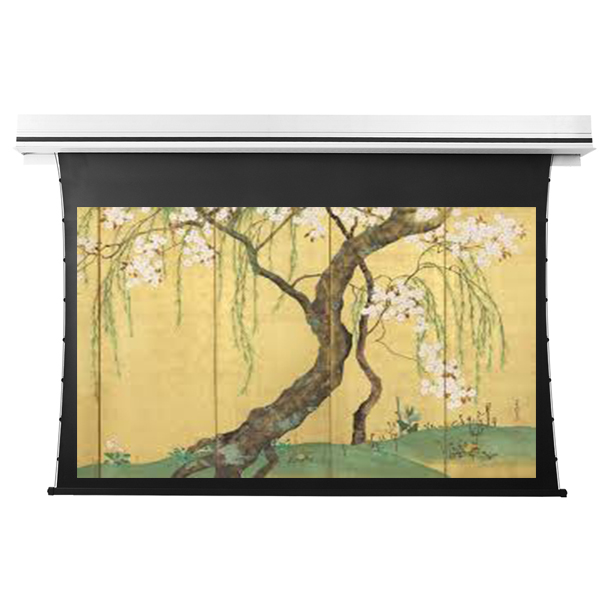 Liberty Grandview 123" (16:10) Premium Recessed TAB-TENTIONED Screen With Trap Door GG3. PS Series Grey.