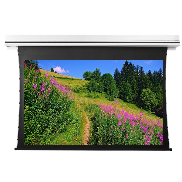 Liberty Grandview 123" (16:10) Premium Recessed TAB-TENTIONED Screen With Trap Door DY20. Dynamique 3D.
