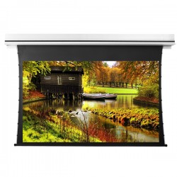 Liberty Grandview 123" (16:10) Premium Recessed TAB-TENTIONED Screen With Trap Door AT6. Accoustic Weaved.