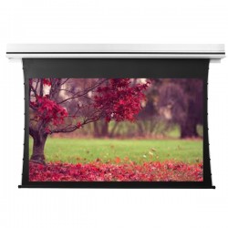 Liberty Grandview 130" (16:10) Premium Recessed TAB-TENTIONED Screen With Trap Door WW5. PS Series White.