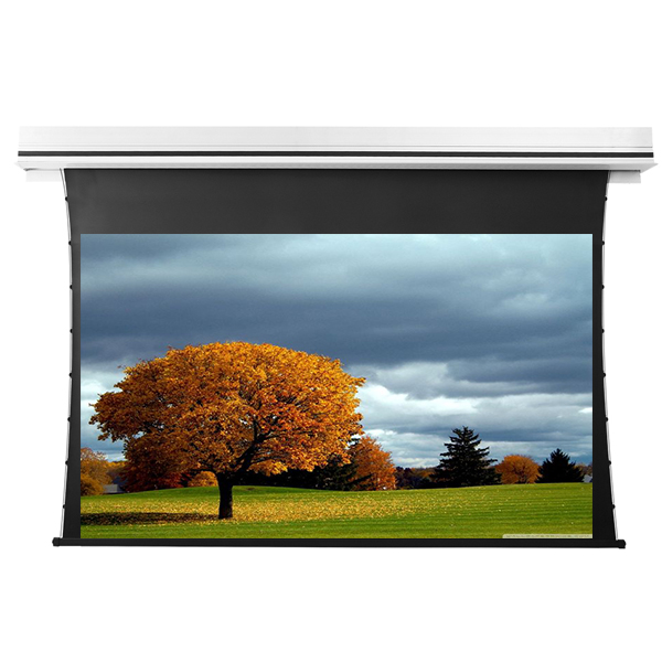 Liberty Grandview 137" (16:10) Premium Recessed TAB-TENTIONED Screen With Trap Door DY20. Dynamique 3D.
