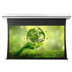 Liberty Grandview 150" (16:10) Premium Recessed TAB-TENTIONED Screen With Trap Door DY20 Dynamique 3D. (with Wooden Crate packing).