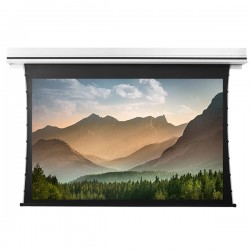 Liberty Grandview 164" (16:10) Premium Recessed TAB-TENTIONED Screen With Trap Door WW5. PS Series White (with Wooden Crate packing).