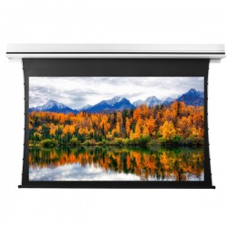 Liberty Grandview 189" (16:10) Premium Recessed TAB-TENTIONED Screen With Trap Door WW5. PS Series White (with Wooden Crate packing).